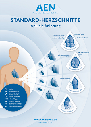 Standard-Herzschnitte Echokardiografie, Poster