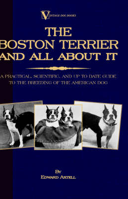 The Boston Terrier and All about It: A Practical, Scientific, and Up to Date Guide to the Breeding of the American Dog - Edward Axtell
