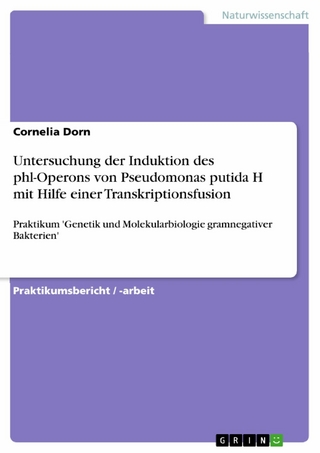Untersuchung der Induktion des phl-Operons von Pseudomonas putida H mit Hilfe einer Transkriptionsfusion