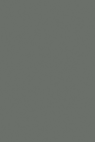 Leonardo Pisano (Fibonacci)