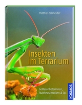 Kosmos: Insekten im Terrarium - Schneider, Matthias