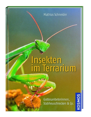 Kosmos: Insekten im Terrarium