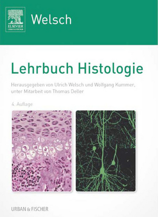 Sobotta Lehrbuch Histologie