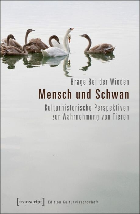 Mensch und Schwan -  Brage Bei der Wieden