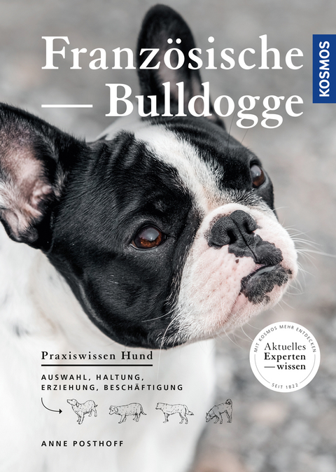 Franz&ouml;sische Bulldogge - Anne Posthoff