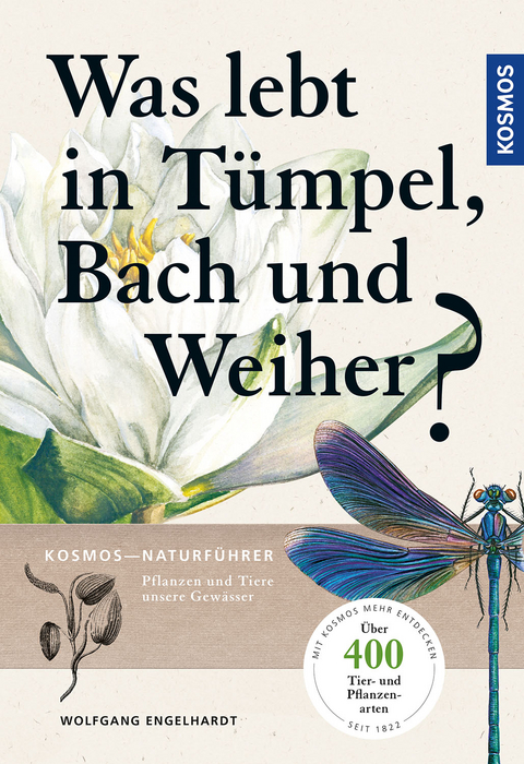 Was lebt in T&uuml;mpel, Bach und Weiher? - Wolfgang Engelhardt, Peter Martin, Rehfeld Klaus