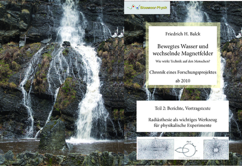 Bewegtes Wasser und wechselnde Magnetfelder Band 2 - Friedrich H. Balck