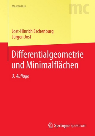 Differentialgeometrie und Minimalflächen