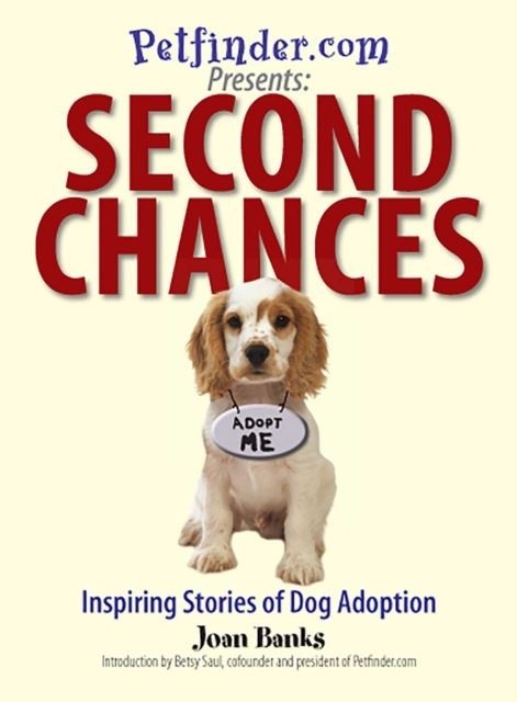 Second Chances -  Joan Banks,  Betsy Saul