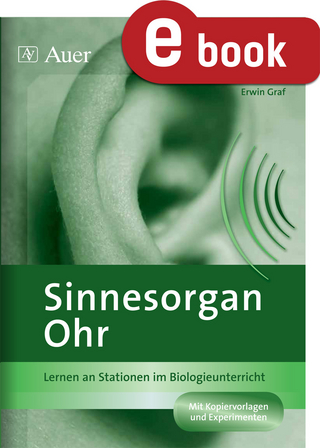 Sinnesorgan Ohr