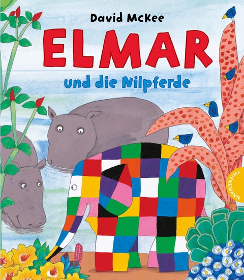 Elmar: Elmar und die Nilpferde - David McKee