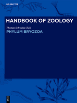 Phylum Bryozoa - 