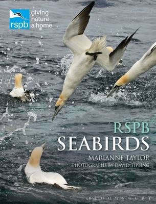 RSPB Seabirds -  Marianne Taylor