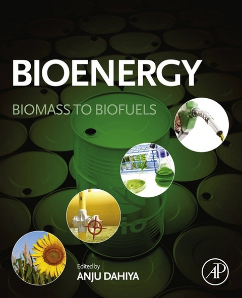 Bioenergy - 