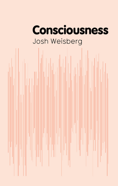 Consciousness - Josh Weisberg