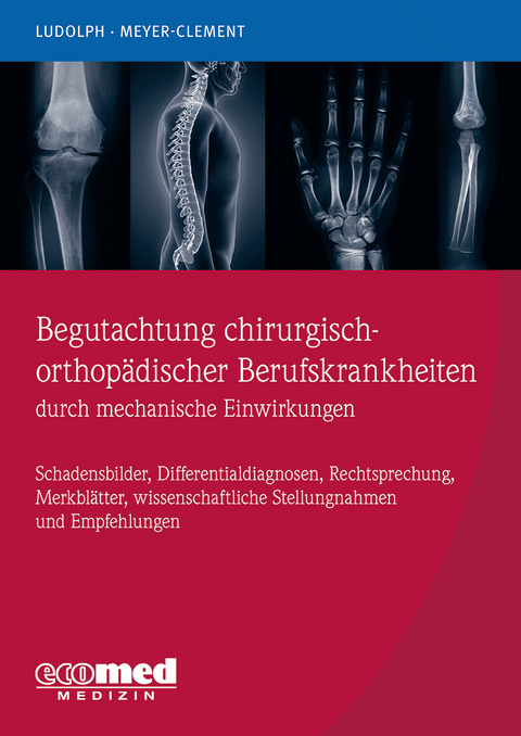 Begutachtung chirurgisch-orthop&auml;discher Berufskrankheiten durch mechanische Einwirkungen - Elmar Ludolph, Michael Meyer-Clement