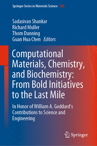 Computational Materials, Chemistry, and Biochemistry: From Bold Initiatives to the Last Mile