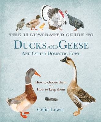 Illustrated Guide to Ducks and Geese and Other Domestic Fowl -  Lewis Celia Lewis