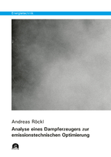 Analyse eines Dampferzeugers zur emissionstechnischen Optimierung - Röckl, Andreas
