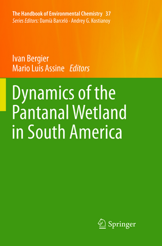 Dynamics of the Pantanal Wetland in South America