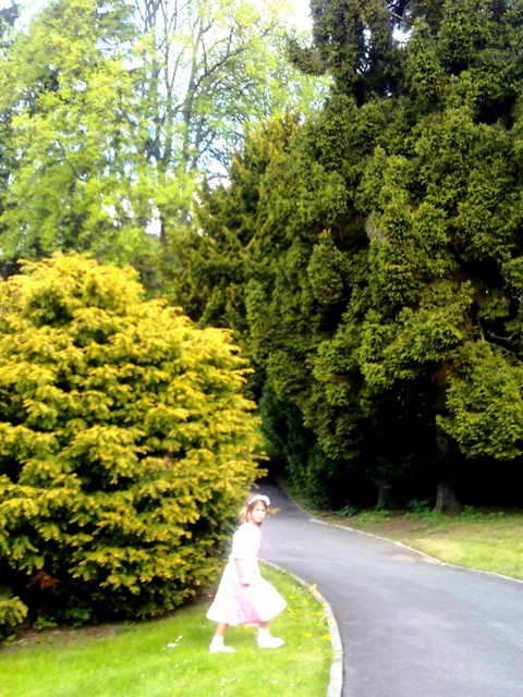 Liebesrisse - Ricarda K&uuml;hn