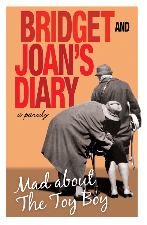 Bridget and Joan's Diary -  Bridget Golightly,  Joan Hardcastle