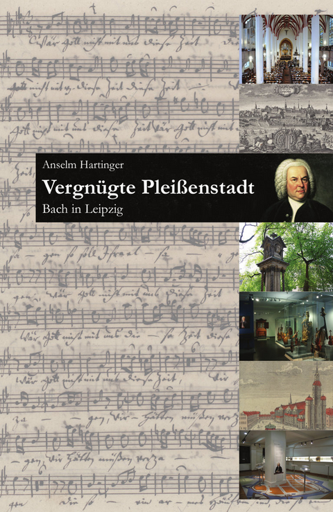 Vergn&uuml;gte Plei&szlig;enstadt - Anselm Hartinger