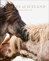 Horses of Iceland - Guadalupe Laiz