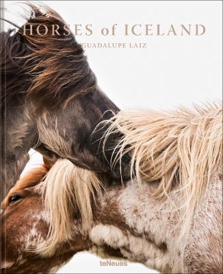 Horses of Iceland - Guadalupe Laiz