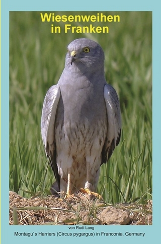 Wiesenweihen in Franken