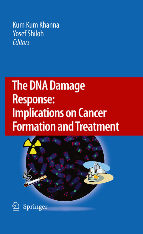 The DNA Damage Response: Implications on Cancer Formation and Treatment - 
