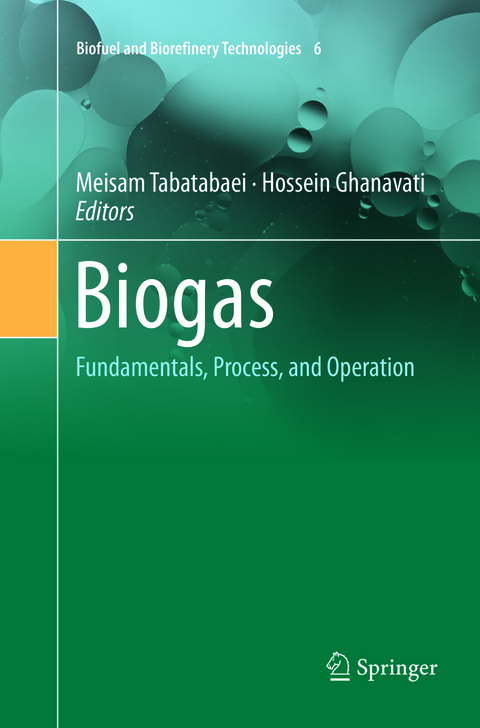 Biogas - 