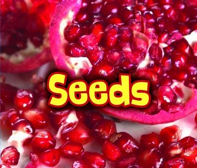 All About Seeds -  Claire Throp