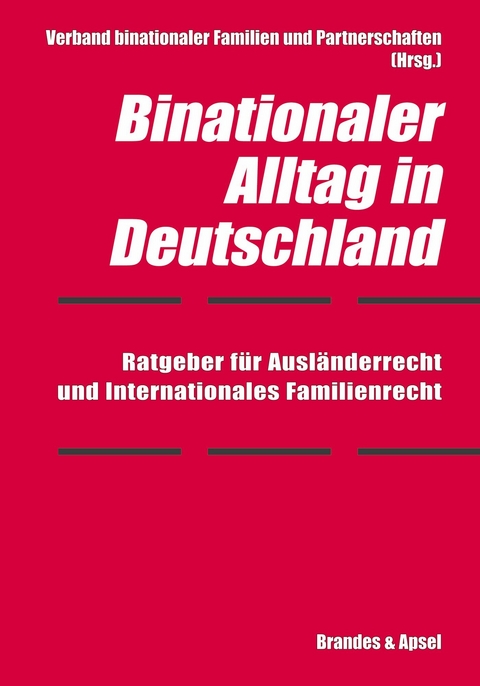 Binationaler Alltag in Deutschland - Elmar H&ouml;rnig, Marian Kinder, Tilman Kurz, Viktoria Lokau, Svenja Schmidt-Bandelow