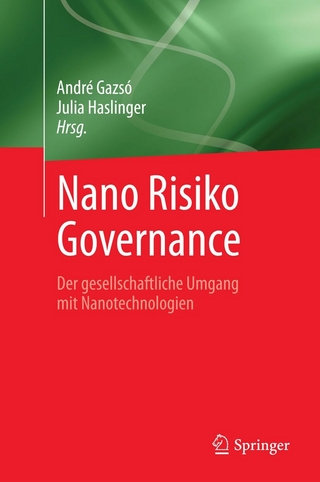 Nano Risiko Governance