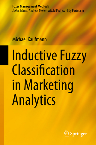 Inductive Fuzzy Classification in Marketing Analytics