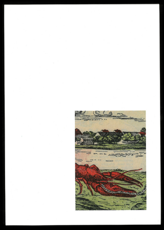 Fragments of a Crisis