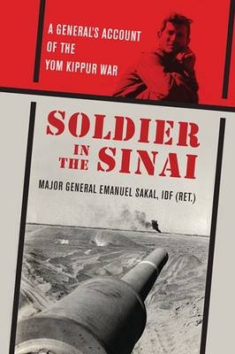 Soldier in the Sinai -  Emanuel Sakal