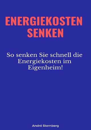 Energiekosten senken