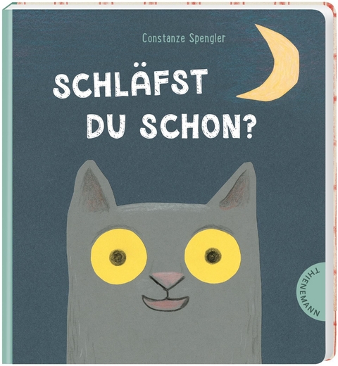 Schl&auml;fst du schon? - Constanze Spengler