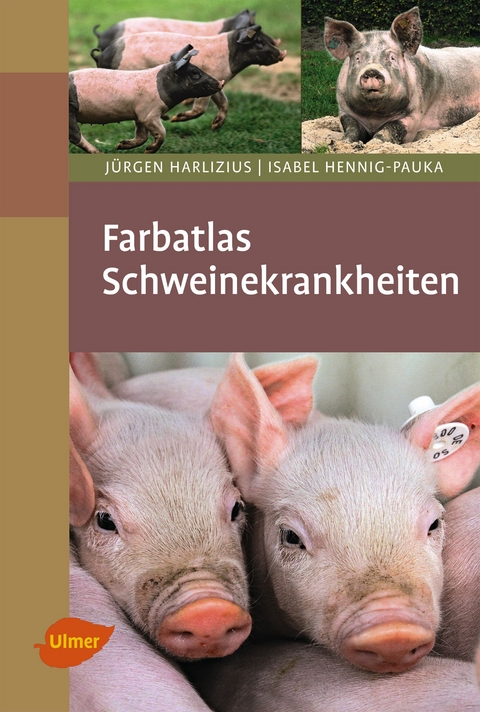 Schweinekrankheiten - J&uuml;rgen Harlizius, Isabel Hennig-Pauka