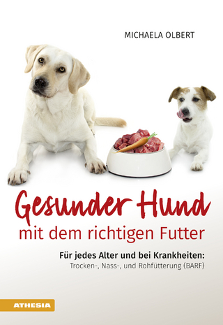 Gesunder Hund mit dem richtigen Futter