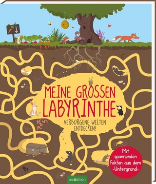 Meine großen Labyrinthe