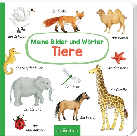 Meine Bilder und W&ouml;rter: Meine Bilder und W&ouml;rter - Tiere