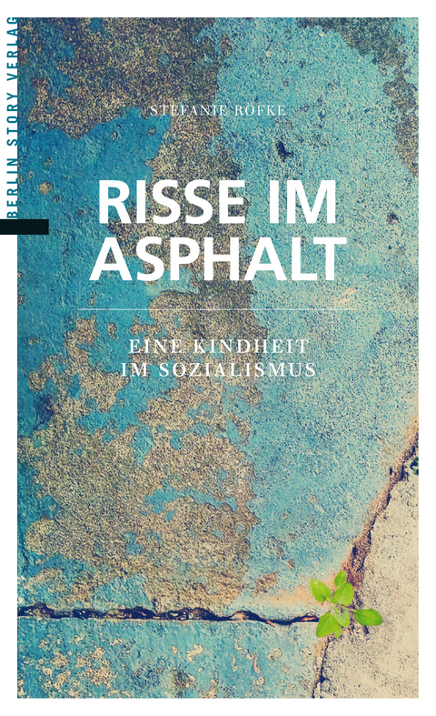 Risse im Asphalt - 