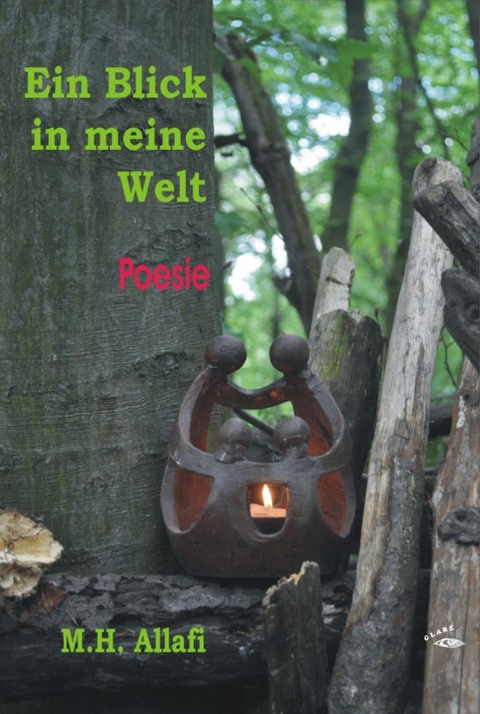 Ein Blick in meine Welt - M.H. Allafi