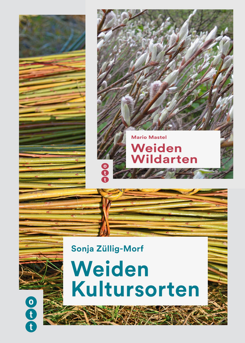 Weiden Kultursorten / Weiden Wildarten (beide B&auml;nde im Paket) - Sonja Z&uuml;llig-Morf, Mario Mastel