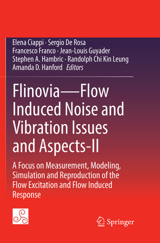 Flinovia—Flow Induced Noise and Vibration Issues and Aspects-II