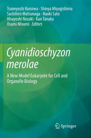 Cyanidioschyzon merolae