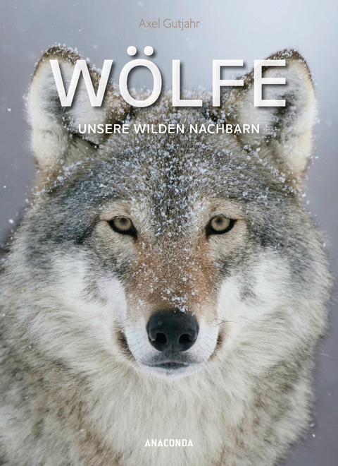 W&ouml;lfe. Unsere wilden Nachbarn - Axel Gutjahr